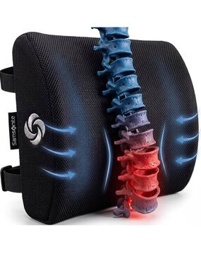 Samsonite Lumbar Support Pillow